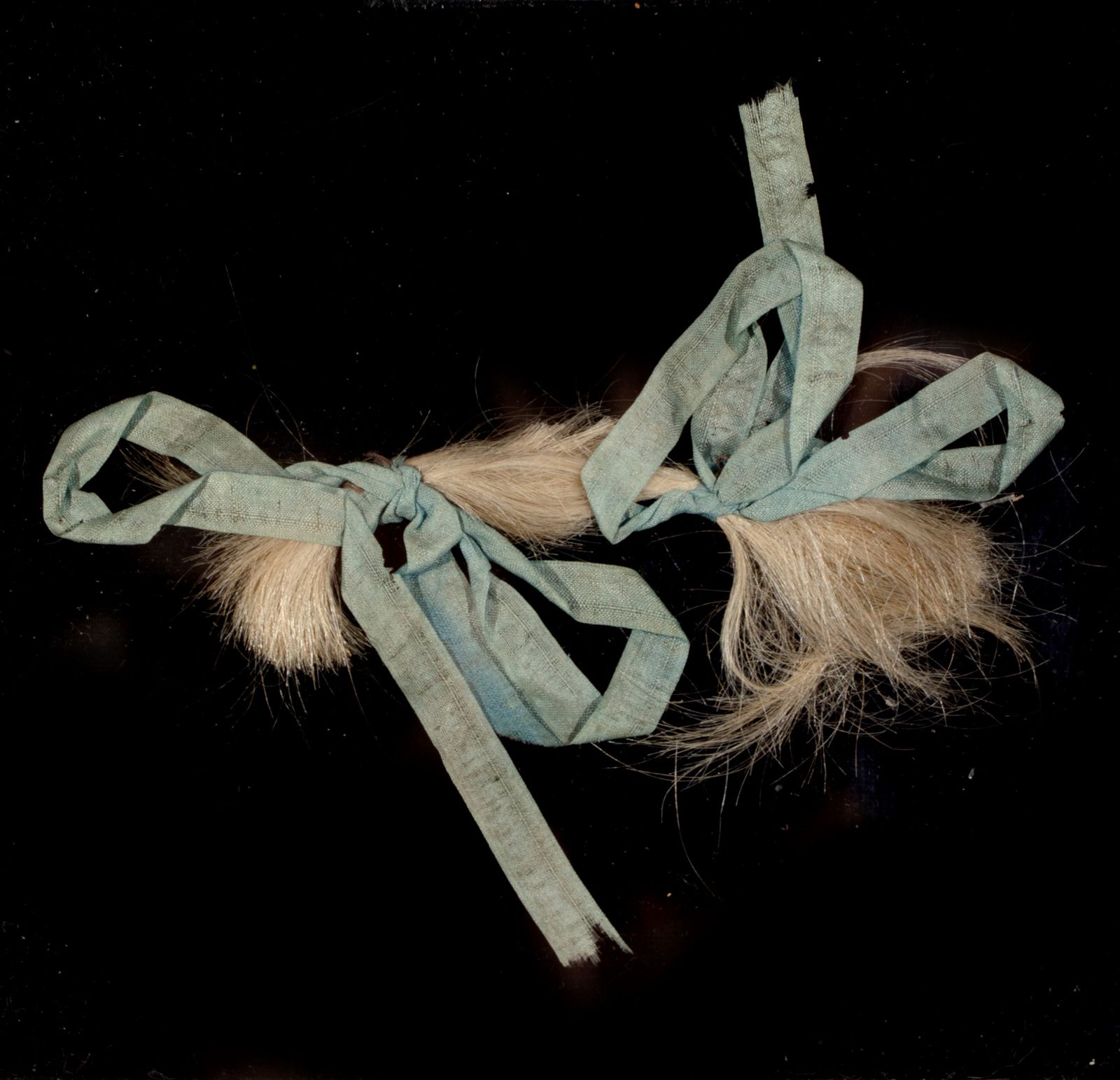 A lock of hair from the Hofkapel at the Binnenhof